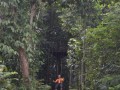Tn DSC 4320